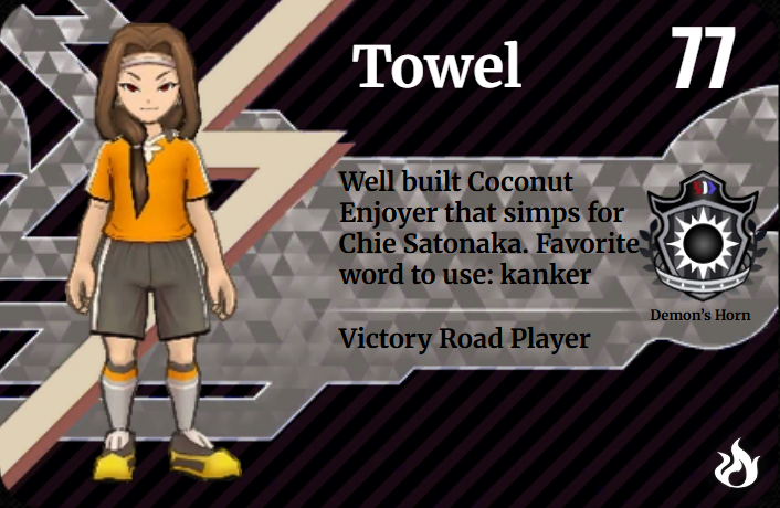 Towel